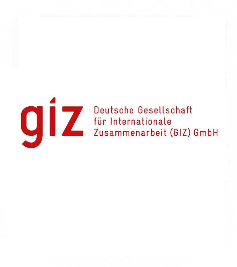 GIZ logo